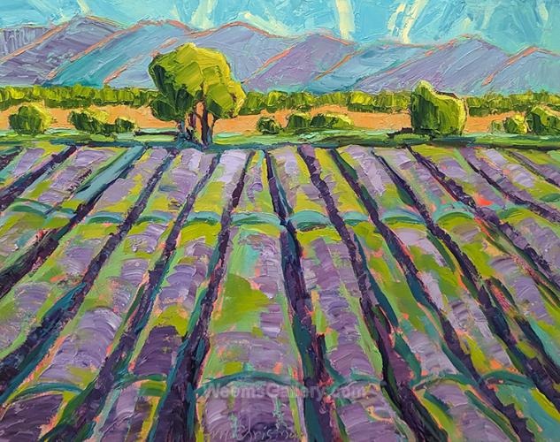 Lavender Field (& Sandias) by Michelle Chrisman
